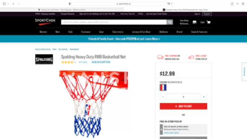 240406183908_basketball net.png